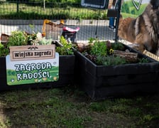 <p>TOZ&nbsp;Schronisko dla Bezdomnych Zwierząt &ndash; otwarcie trzech nowych wybieg&oacute;w</p>