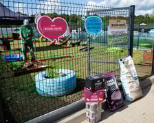 <p>TOZ&nbsp;Schronisko dla Bezdomnych Zwierząt &ndash; otwarcie trzech nowych wybieg&oacute;w</p>