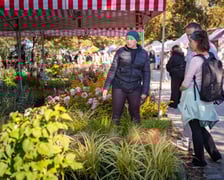 Kiermasz ogrodniczy Pamiętajcie o ogrodach na Partynicach