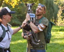 Great Global Greyhound Walk 2025 we Wrocławiu, 28.09.2025 r.