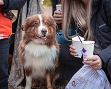 Lumina Park w Zamku Topacz - 15.10.2025