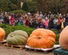 Festiwal Dyni w Ogrodzie Botanicznym 2025