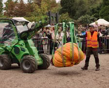 Festiwal Dyni w Ogrodzie Botanicznym 2025