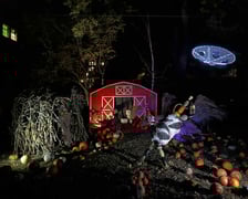 <p>Dyniowe Iluminacje w Ogrodzie Botanicznym UWr&nbsp;</p>