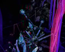 <p>Dyniowe Iluminacje w Ogrodzie Botanicznym UWr&nbsp;</p>