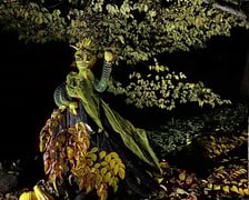 <p>Dyniowe Iluminacje w Ogrodzie Botanicznym UWr&nbsp;</p>