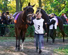 11. dzień wyścigowy: Crystal Cup i Święto Województwa Dolnośląskiego na Wrocławskim Torze Wyścigów Konnych Partynice