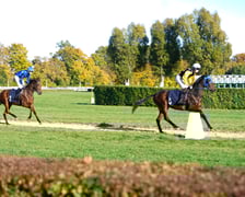11. dzień wyścigowy: Crystal Cup i Święto Województwa Dolnośląskiego na Wrocławskim Torze Wyścigów Konnych Partynice