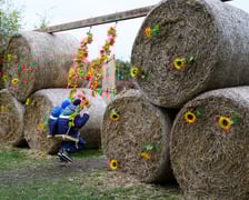 Dyniowa Farma we Wrocławiu