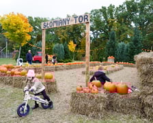 Dyniowa Farma we Wrocławiu