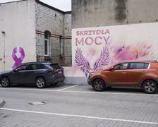 Różowe skrzydła z napisem SKRZYDŁA MOCY namalowane na ścianie szpitala na Hirszfelda
