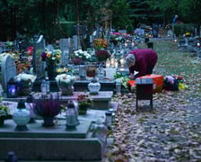 Przygotowania do Wszystkich Świętych na cmentarzu Grabiszyńskim - 26.10.2025