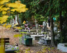 Przygotowania do Wszystkich Świętych na cmentarzu Grabiszyńskim - 26.10.2025