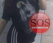 Zaginęła Martyna Zawada