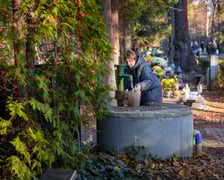 Cmentarz Osobowicki o poranku 1 listopada 2025