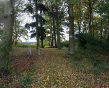 <p>Cmentarz ewangelicki w Grabownicy - w środku pola, w niewielkim zagajniku</p>