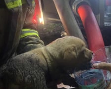 Akcja ratunkowa strażaków