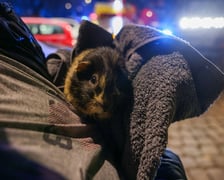 Pożar przy ul. Kruszwickiej - akcja służb