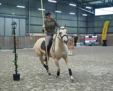 Na Partynicach rozgrywano Mistrzostwa Polski w Working Equitation.