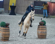 Na Partynicach rozgrywano Mistrzostwa Polski w Working Equitation.