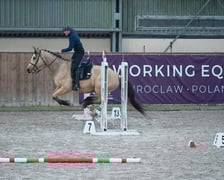 Na Partynicach rozgrywano Mistrzostwa Polski w Working Equitation.