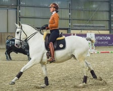 Na Partynicach rozgrywano Mistrzostwa Polski w Working Equitation.