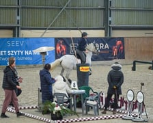 Na Partynicach rozgrywano Mistrzostwa Polski w Working Equitation.