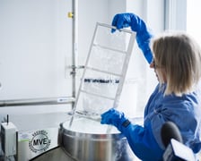 Przylądek Nadziei we Wrocławiu, 24 listopada 2025 roku