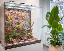 Branżowe Centrum Umiejętności w dziedzinie florystyki