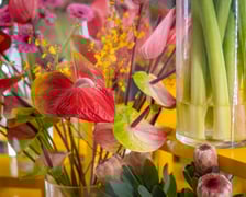 Branżowe Centrum Umiejętności w dziedzinie florystyki