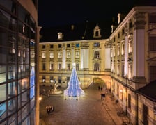 <p>Choinka rozświetla Plac Uniwersytecki</p>