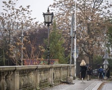 Most Oławski jesienią 2024