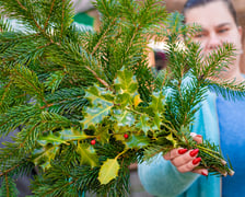 Gałązka ostrokrzewu - "łapka" kupowana jako dekoracja bożonarodzeniowa na grób