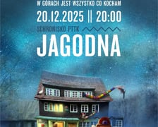 Jarmarki, koncerty kolęd i spotkania wigilijne na Dolnym Śląsku 2025. Program wydarzenia