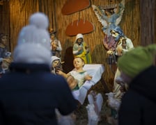 <p class="MsoNormal">Bożonarodzeniowa szopka w kościele pw. św. Michała Archanioła na Ołbinie</p>