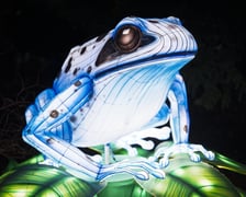 Garden of Lights "Dzika Ameryka" we Wrocławiu