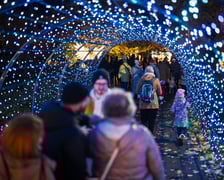 Garden of Lights "Dzika Ameryka" we Wrocławiu