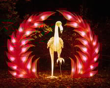 Garden of Lights "Dzika Ameryka" we Wrocławiu