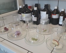 <p>Noc Biolog&oacute;w we Wrocławiu, zdjęcie z warsztat&oacute;w w 2025 roku</p>