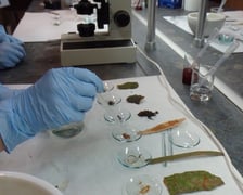 <p>Noc Biolog&oacute;w we Wrocławiu, zdjęcie z warsztat&oacute;w w 2025 roku</p>