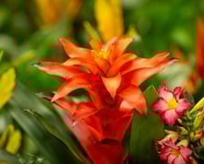 Targi na Tarczyński Arenie w 2024 roku