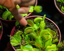 Targi na Tarczyński Arenie w 2024 roku