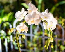 Targi na Tarczyński Arenie w 2024 roku