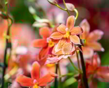 Targi na Tarczyński Arenie w 2024 roku