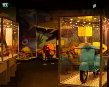 Wystawa Budowli z Klocków Lego w Sky Tower