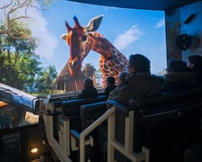 Przejażdżka w rozszerzonej rzeczywistości - Safari Ride we wrocławskim ogrodzie zoologicznym.