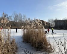 Zamarznięty staw przy ul. Głównej we Wrocławiu, 1 luty 2026 r.