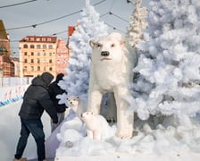 Lodowisko w Rynku, 1 luty 2026 r.