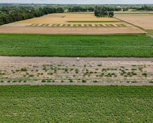 <p>Farma miejska zatrudnia osoby w ramach programu aktywizacji os&oacute;b bezrobotnych</p>