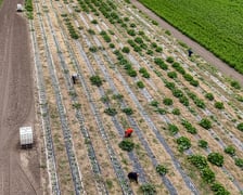 <p>Z plon&oacute;w farmy korzysta 37 plac&oacute;wek, w tym żłobki, przedszkola i DPS-y</p>